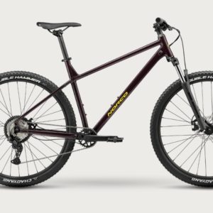 Norco Storm